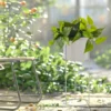 Fioriera da Giardino in Metallo Bianco h40 cm diametro 15 cm