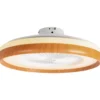 Ventilatore da soffitto con plafoniera integrata BlowsAir Led